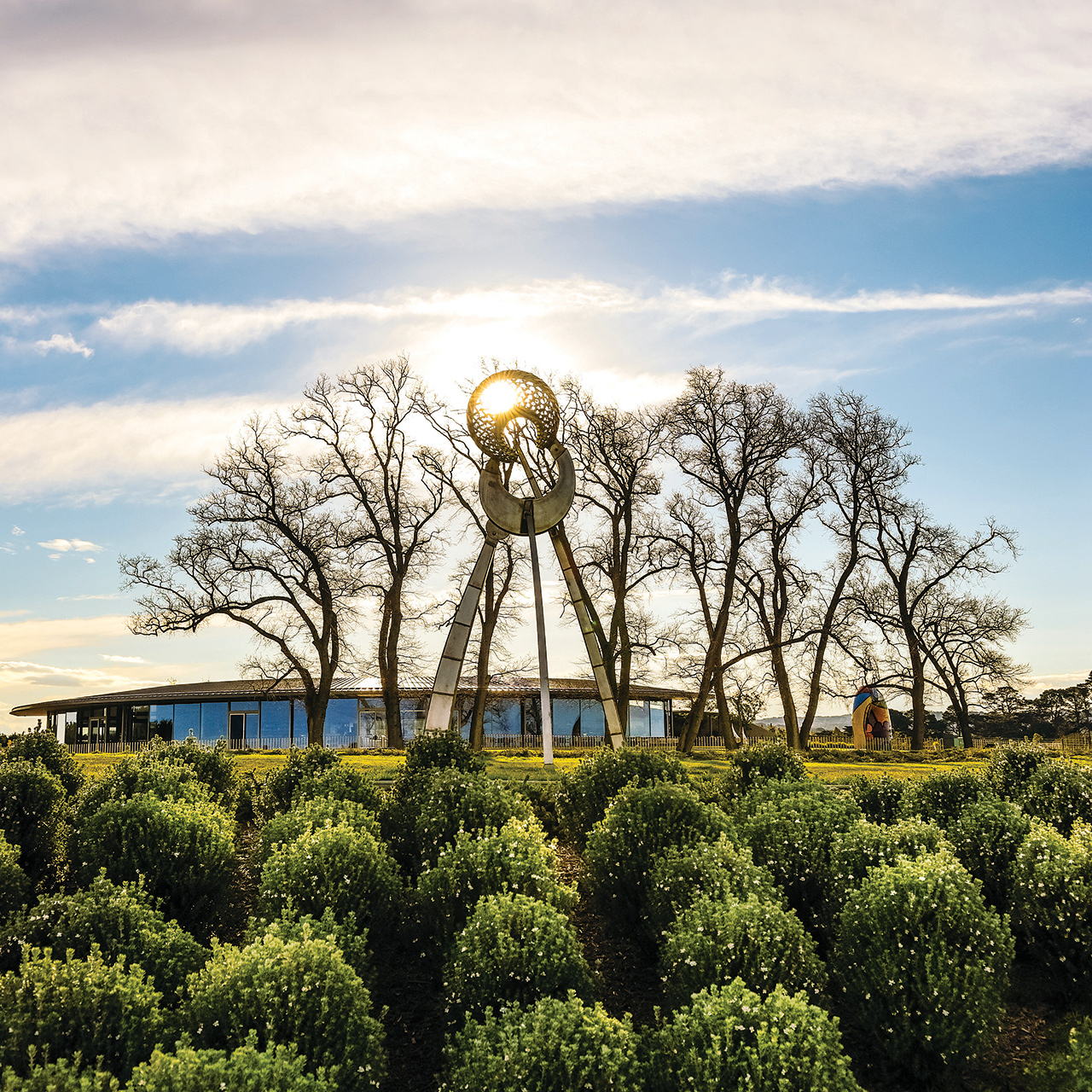 Nautilus, Study with Three Legs, 2009